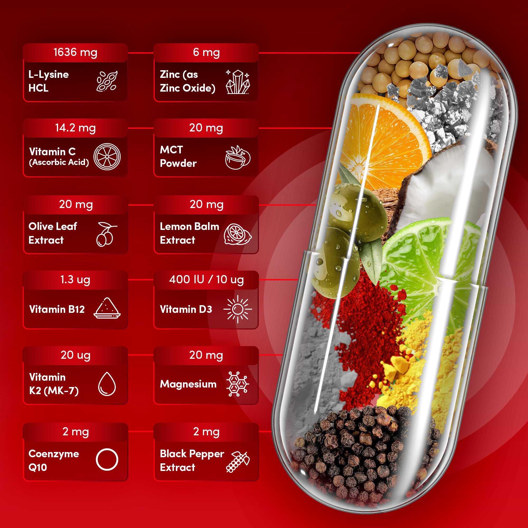 Bio Lab Nutrition  1600mg High Strength L-Lysine  – 12-in-1 Complex with Zinc, Vitamin C, D3 & Olive Leaf – Targeted Support for Skin Maintenance, Immune Health & Fatigue – 60 Vegan Capsules